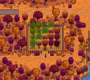 这是精心培育的旧社区花园的一个例子,周围有酒桶,空间里种满了果树和普通树木。